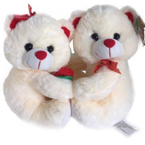 Casal de Ursinhos