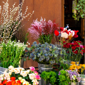 A magia das flores em Goiânia: melhores opções de floricultura próximo ao meu local