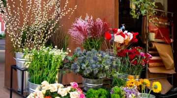 A magia das flores em Goiânia: melhores opções de floricultura próximo ao meu local