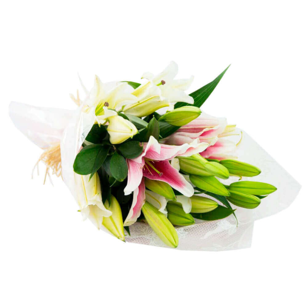 Floriza