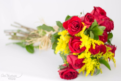 Buquê de Rosas – 12 Rosas Vermelhas em Anápolis
