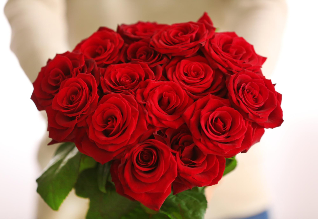 Buquê de Rosas Vermelhas Goiânia - Floricultura em Goiânia
