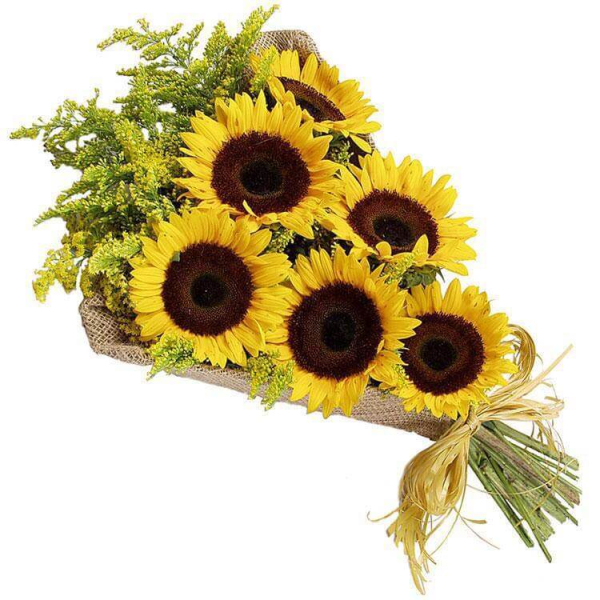 Girassóis - Floricultura em Goiânia