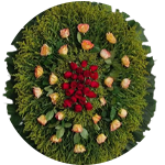 Coroa de Flores Goiânia - Floricultura em Goiânia