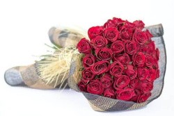 Buquê de Rosas Vermelhas – Pra Dizer Eu te Amo