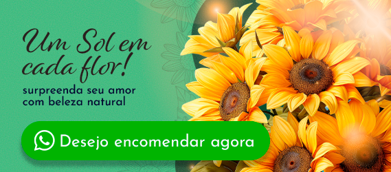 girassois-goiania