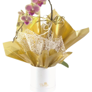 Floricultura Setor Bueno