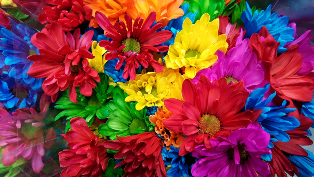 Floriza