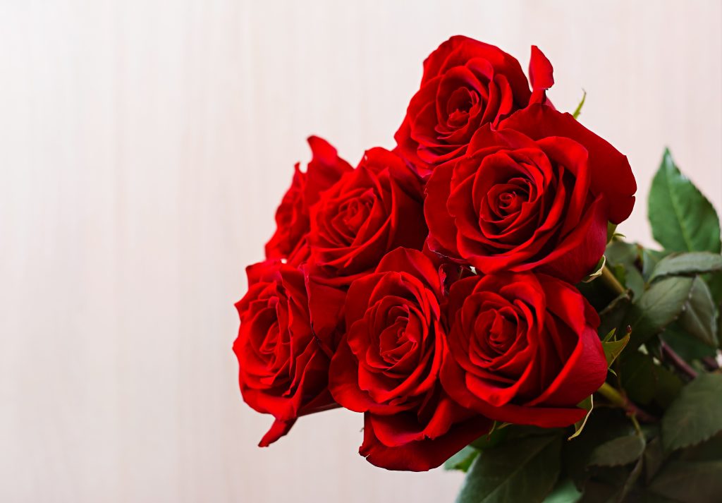 Flores para dia dos namorados Goiânia