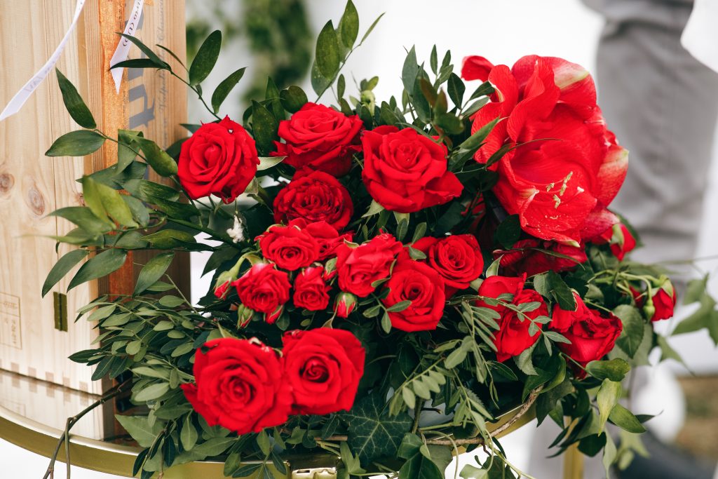 rosa vermelha colombiana