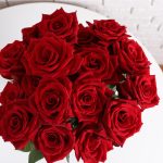Rosa Vermelha Colombiana: O Presente Que Nunca Sai de Moda